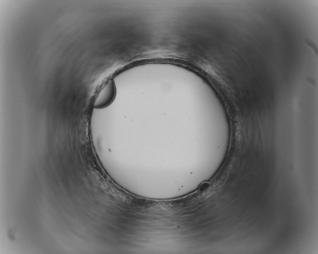 X0000103171358200809121851