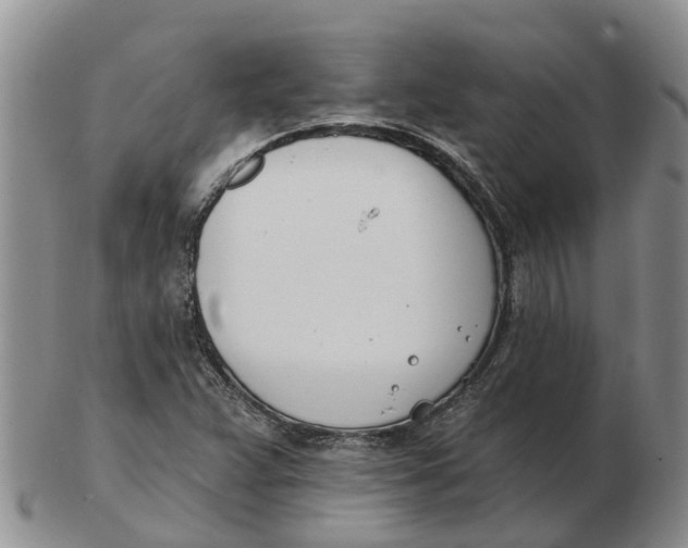 X0000103171359200809121851