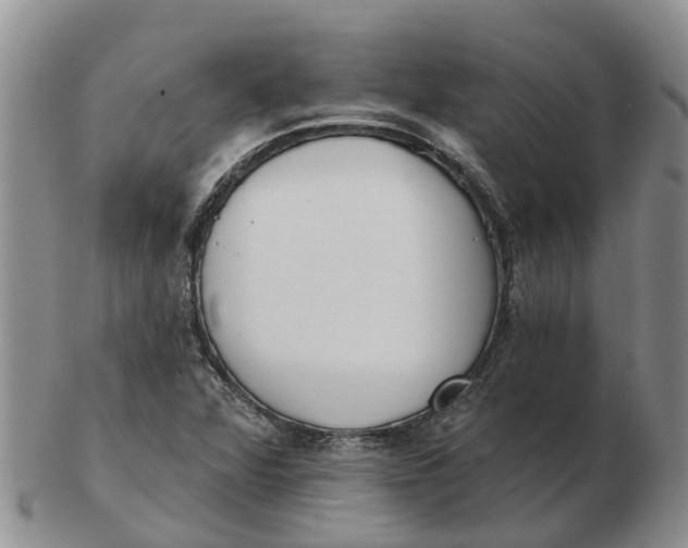 X0000103171360200809121851