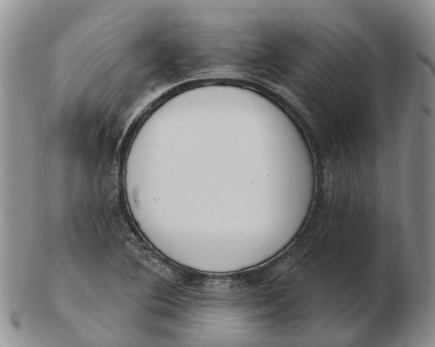 X0000103171364200809121851