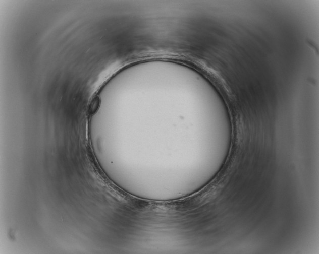 X0000103171365200809121851