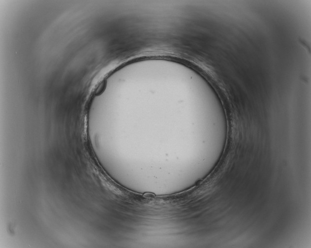 X0000103171366200809121851