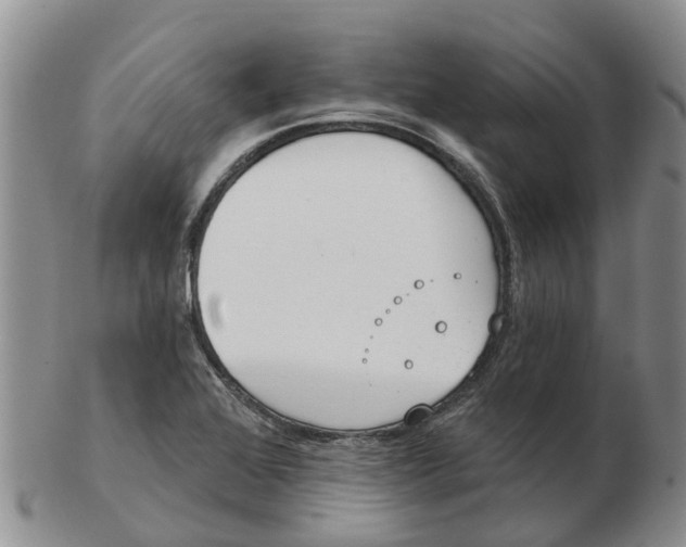 X0000103171368200809121851