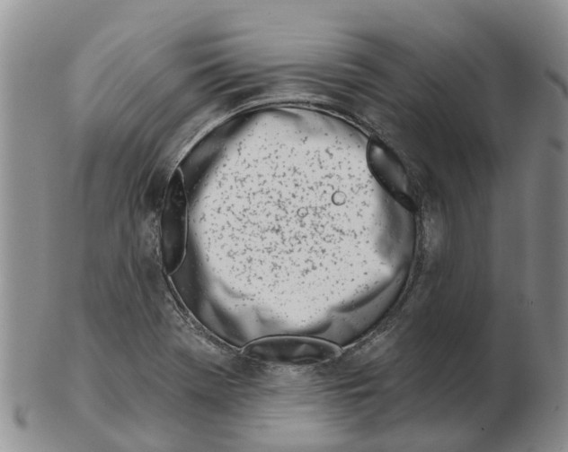 X0000103171369200809121851