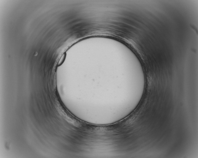 X0000103171371200809121851