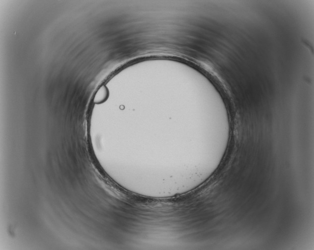 X0000103171372200809121851