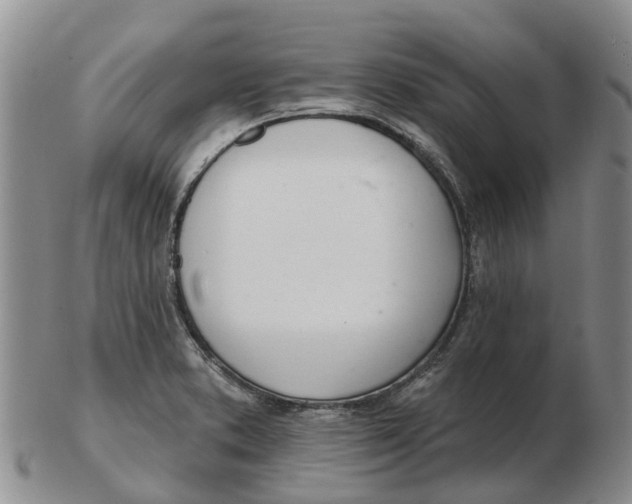 X0000103171373200809121851