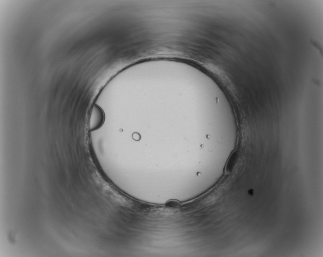 X0000103171374200809121851