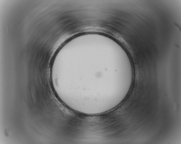 X0000103171376200809121851