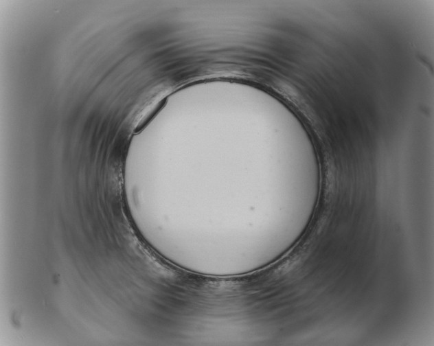 X0000103171377200809121851