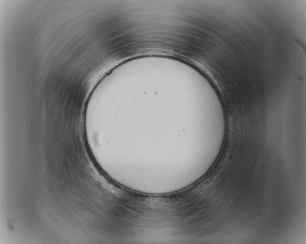 X0000103171379200809121851