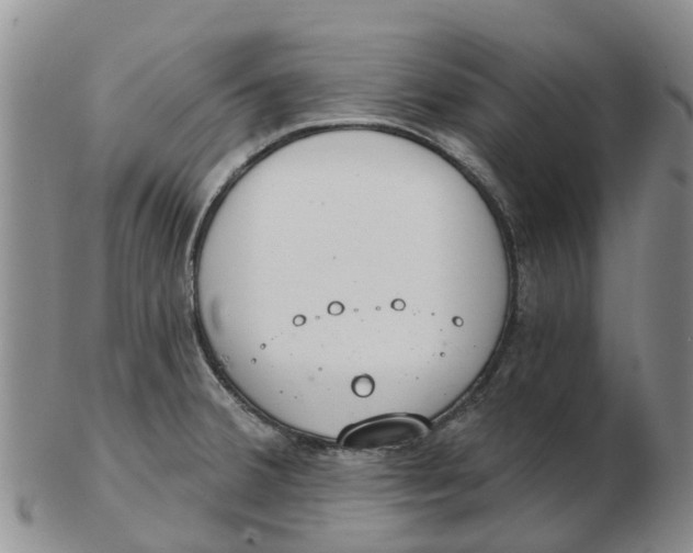 X0000103171380200809121851