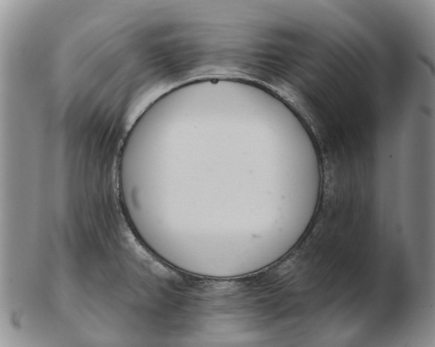 X0000103171382200809121851