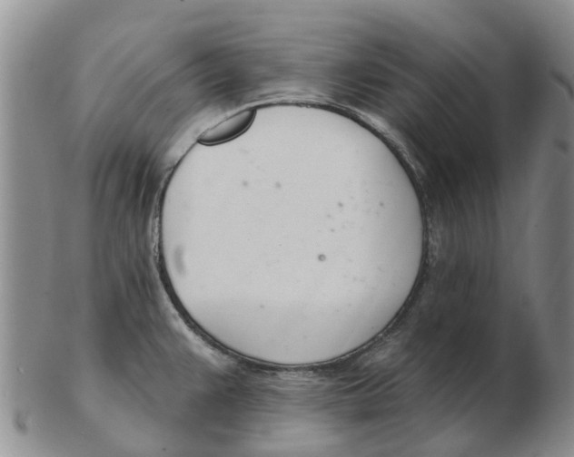 X0000103171383200809121851