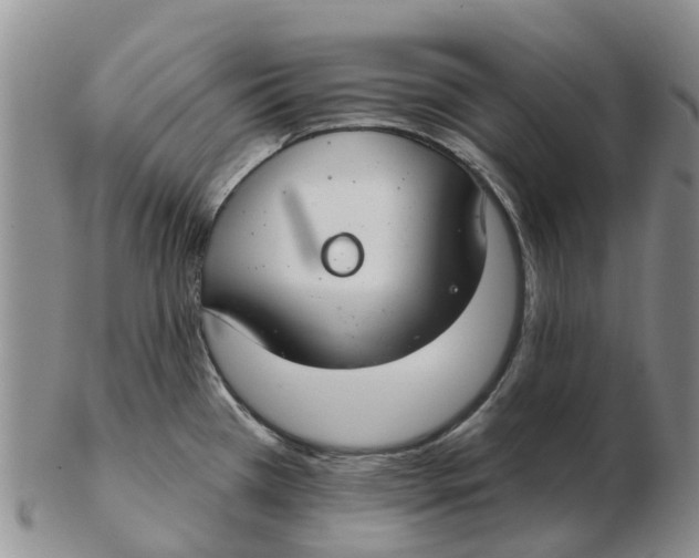 X0000103171385200809121851