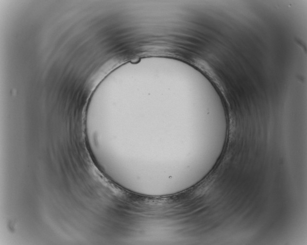 X0000103171386200809121851