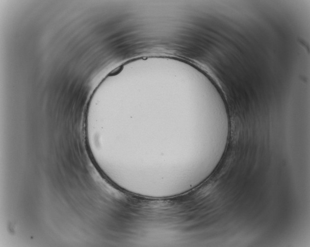 X0000103171387200809121851