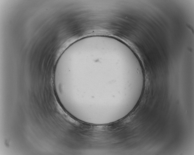 X0000103171390200809121850