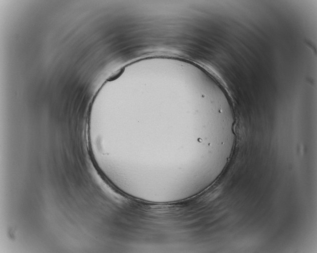 X0000103171391200809121850