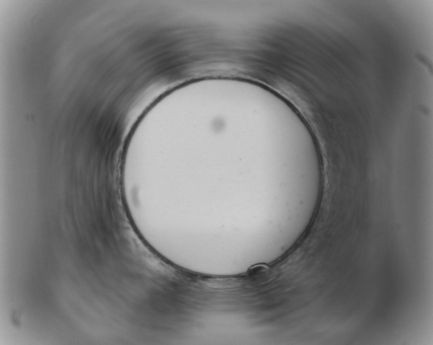 X0000103171392200809121850