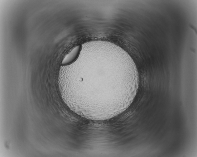 X0000103171393200809121850