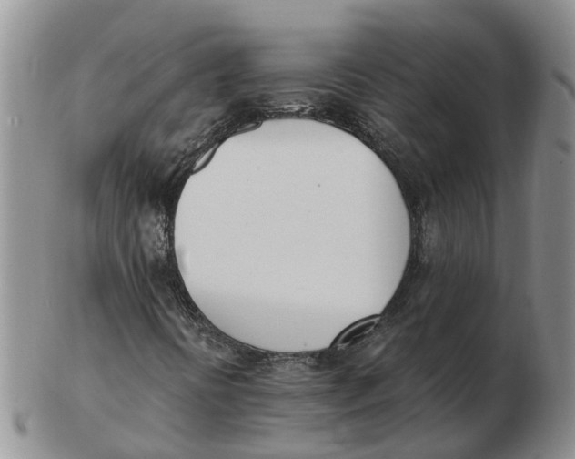 X0000103171394200809121850