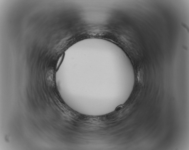 X0000103171396200809121850