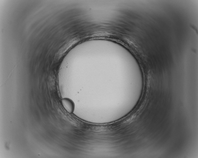 X0000103171401200809121850