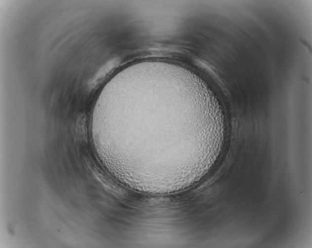 X0000103171403200809121850