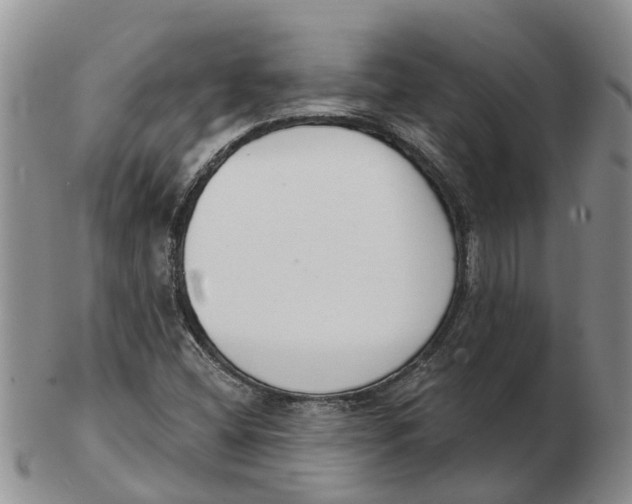 X0000103171404200809121850