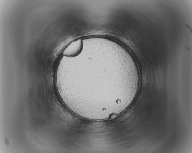 X0000103171406200809121850