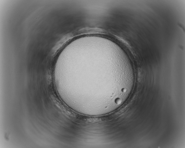 X0000103171407200809121850