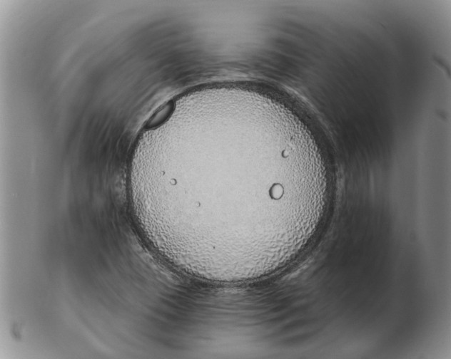 X0000103171409200809121850