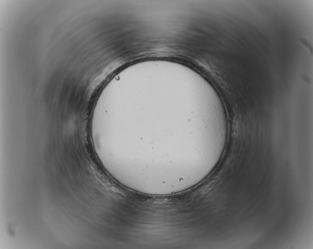 X0000103171410200809121850