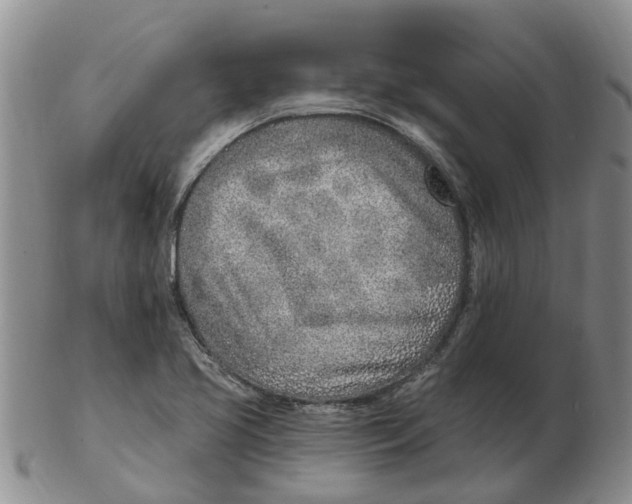 X0000103171413200809121850