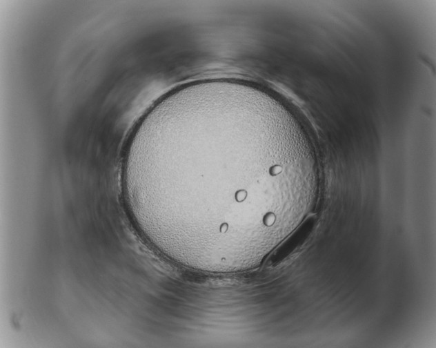 X0000103171415200809121850