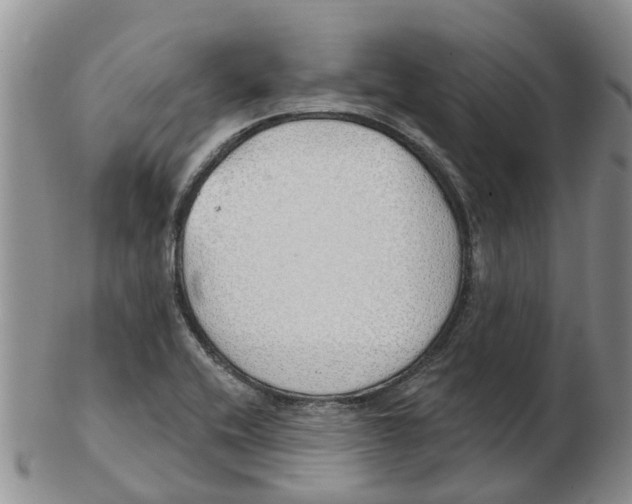 X0000103171416200809121850