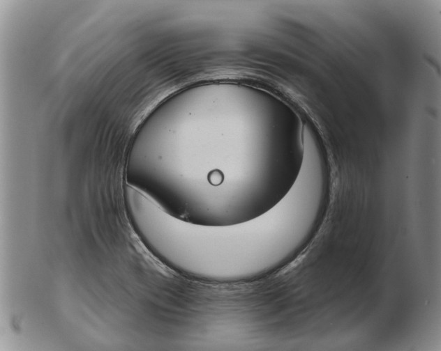 X0000103171417200809121850