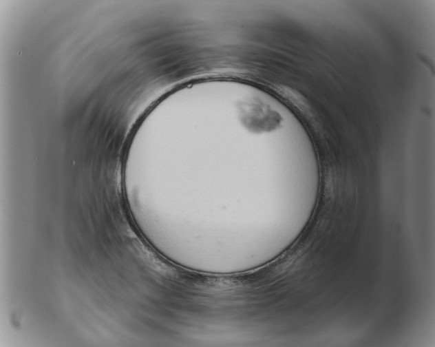 X0000103171420200809121850