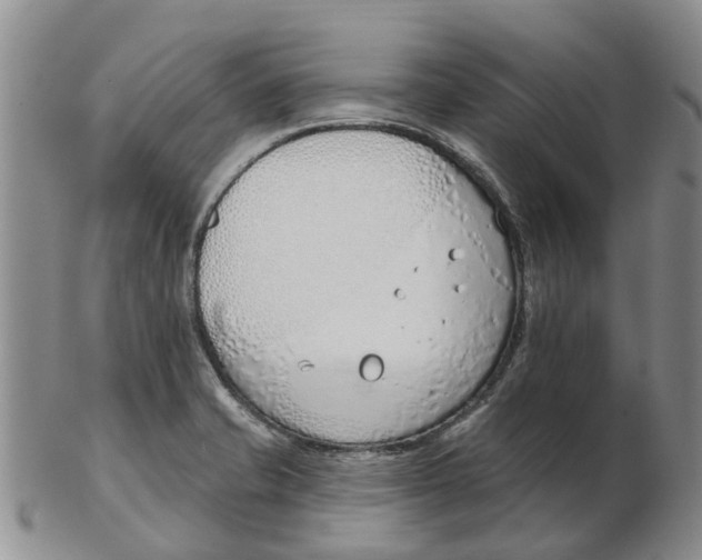 X0000103171421200809121850