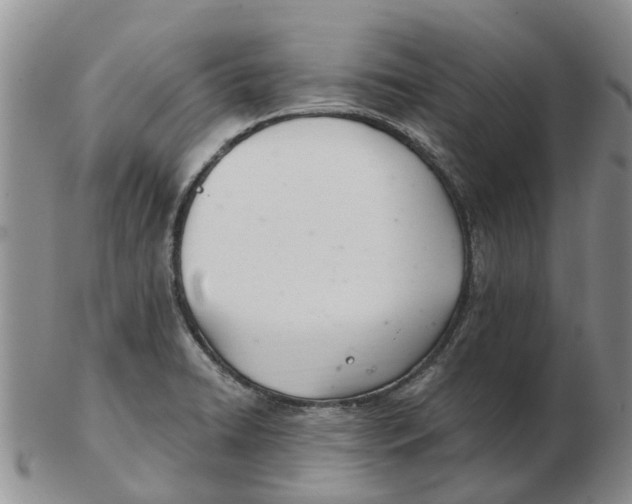 X0000103171422200809121850