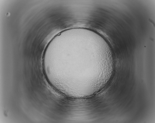 X0000103171423200809121850