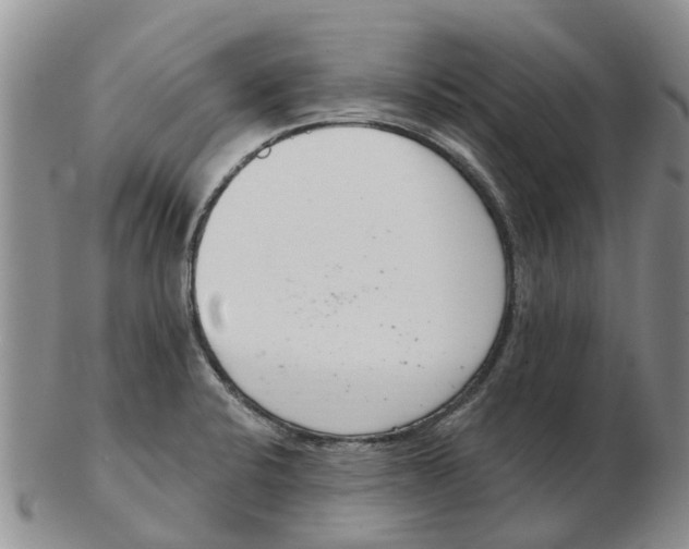 X0000103171424200809121850