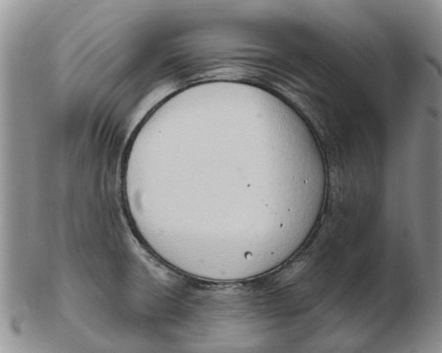 X0000103171426200809121850