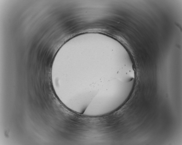 X0000103171428200809121850