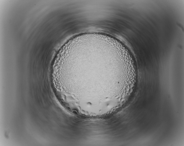 X0000103171429200809121850