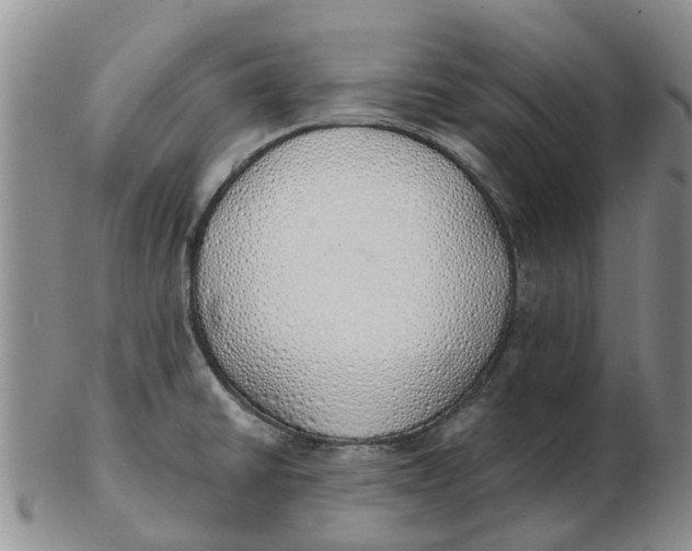 X0000103171430200809121850