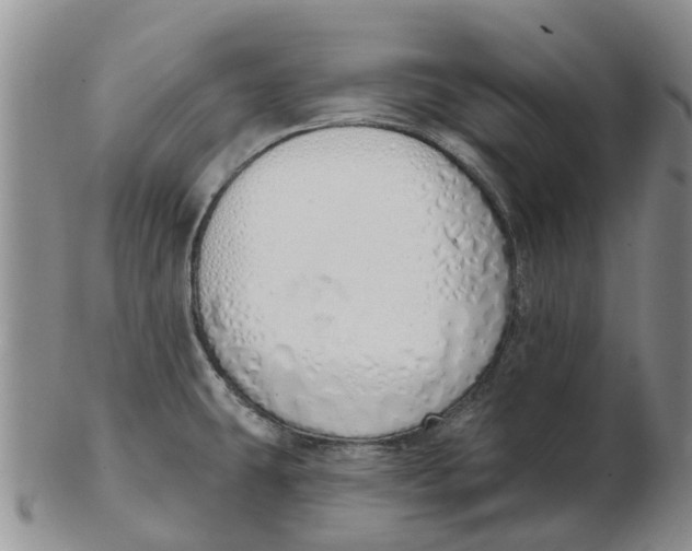 X0000103171431200809121850