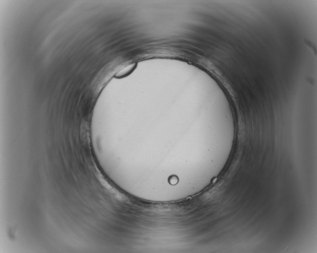 X0000103171433200809121850