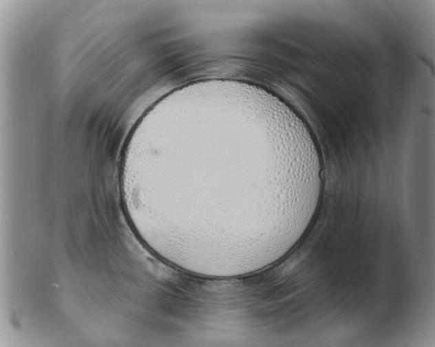 X0000103171434200809121850